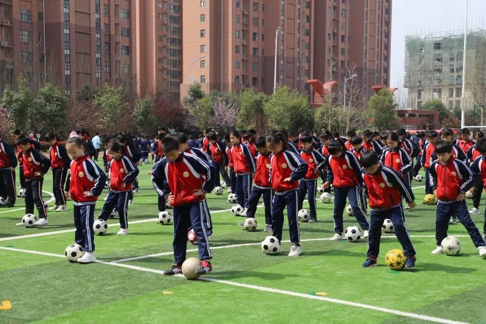 国安与绿城，绿茵场上的对决 国安vs绿城